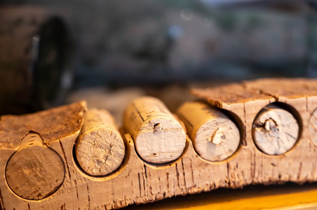 Vinificación en acero inoxidable, ánforas, hormigón y madera: innovación en la producción de vinos