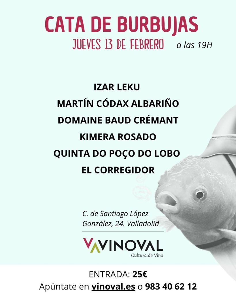 VinGO celebra su Cata de Burbujas con una selección exclusiva de espumosos internacionales